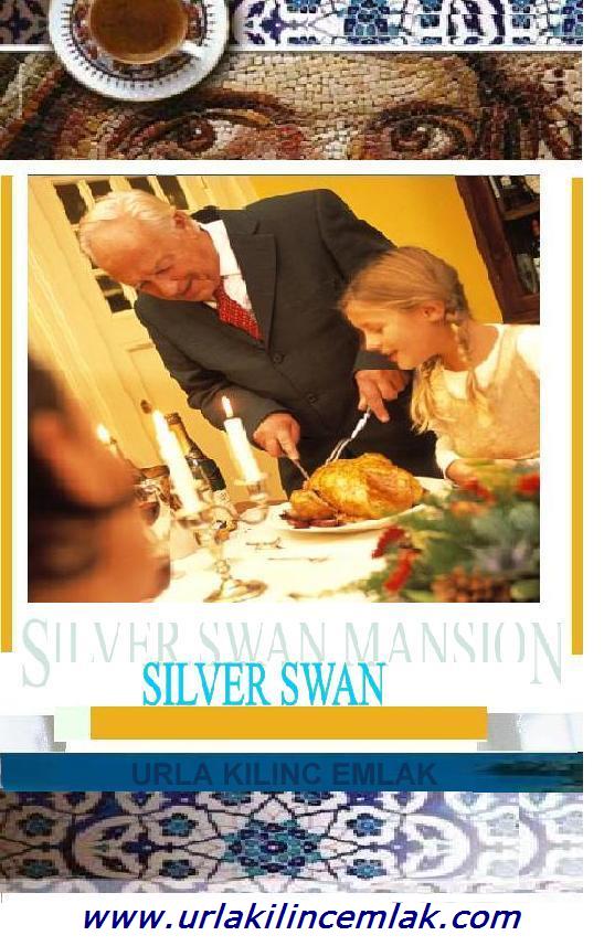 Silver Swan Mansions Aegean 